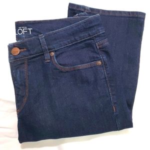Ann Taylor LOFT Modern Straight Leg Jeans